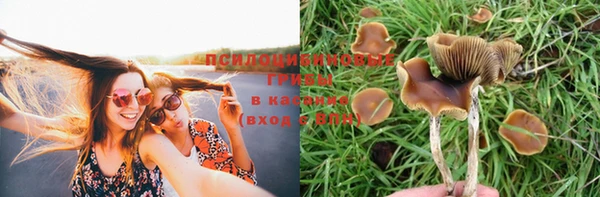 мефедрон мука Богородицк