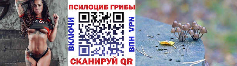 Псилоцибиновые грибы мухоморы Куйбышев